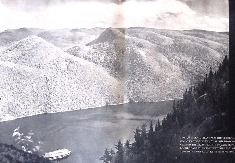 1935 aerial.jpeg