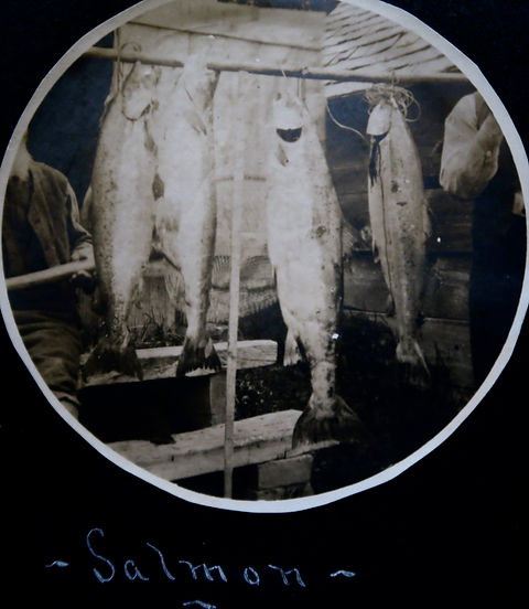 1890 Salmonx4.jpeg