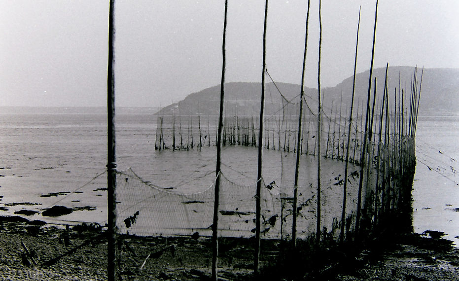 1965 Tom'sPhoto.jpeg