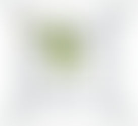 Tư vấn thiết kế Nhà 11x12.6m