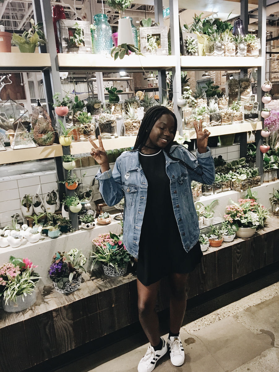 My Advice to New Bloggers