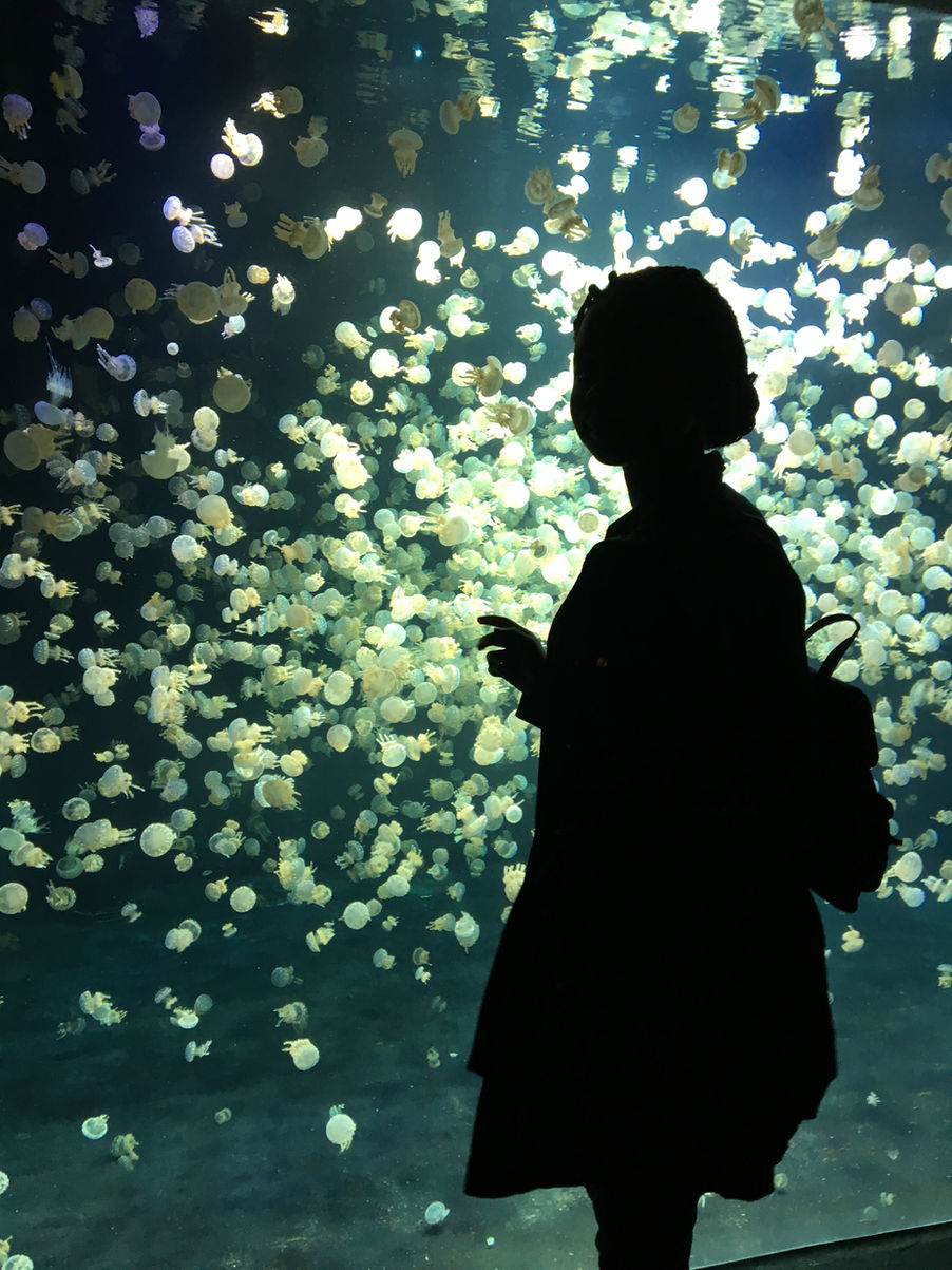 Travel Bucket list: 20 places i would love to visit