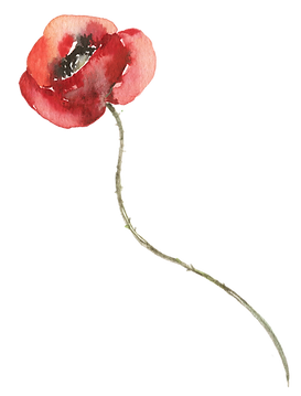 Floral (28)_edited.png