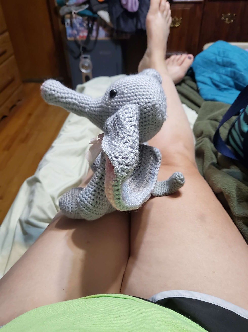 Thumbnail: Elephant