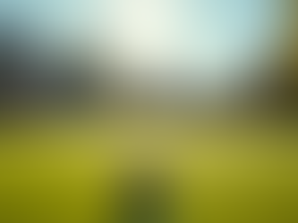 Join Our Community: Victoria West Lawn Bowling Club