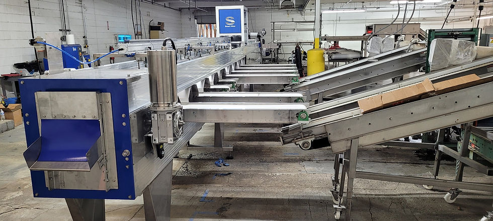 Advanced Industrial Fruit Sorting Systems