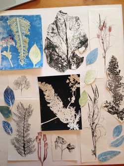 Various mono - prints