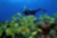 Cozumel-Buceo.jpg