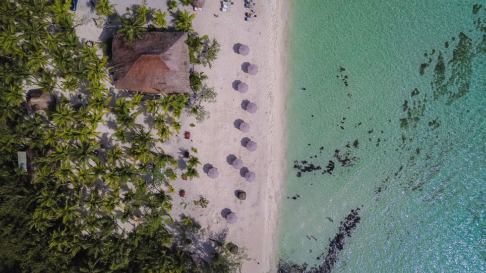Experience the best of Cozumel at Playa Palancar Beach. Your gateway to pristine white sand, crystal-clear water, delicious f