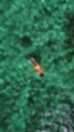 DJI_0236.JPG
