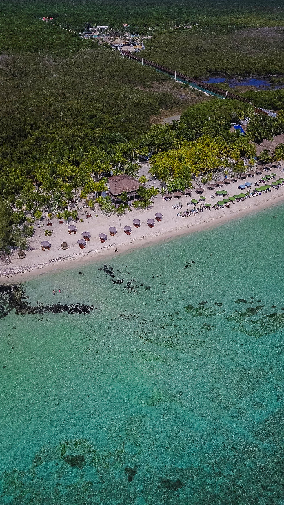 Experience the best of Cozumel at Playa Palancar Beach. Your gateway to pristine white sand, crystal-clear water, delicious f