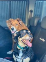 IMG_7195.JPEG