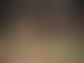 Sophie’s Pussy Willow