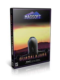 GUADALAJARAA.png