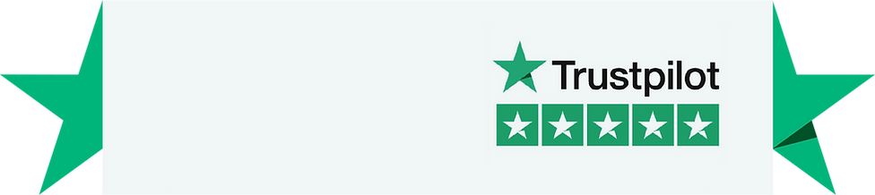 Add a Trustpilot widget to your homepage to increase convesrion rates.