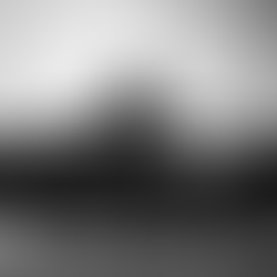 אבל היא יכולה רק מה שהיא יכולה