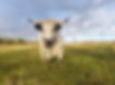 West Acre Estate-8.jpg