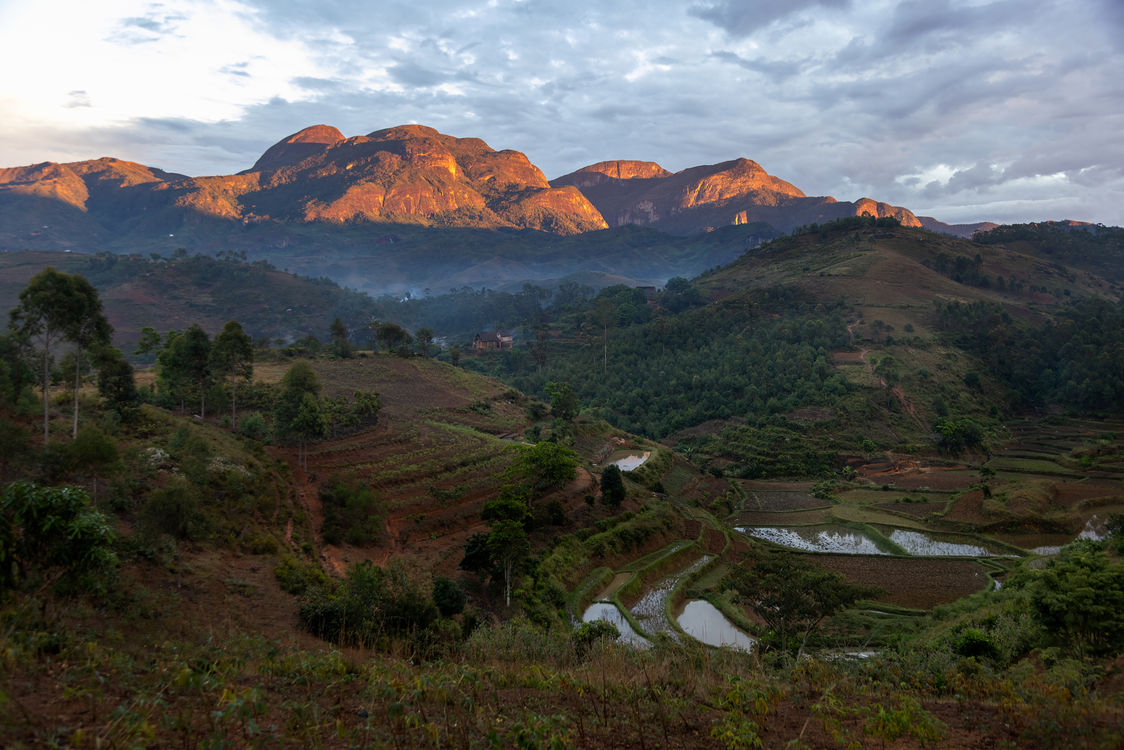 early morning village A.jpeg