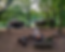 6-T4AI6407-HDR-E_edited.png