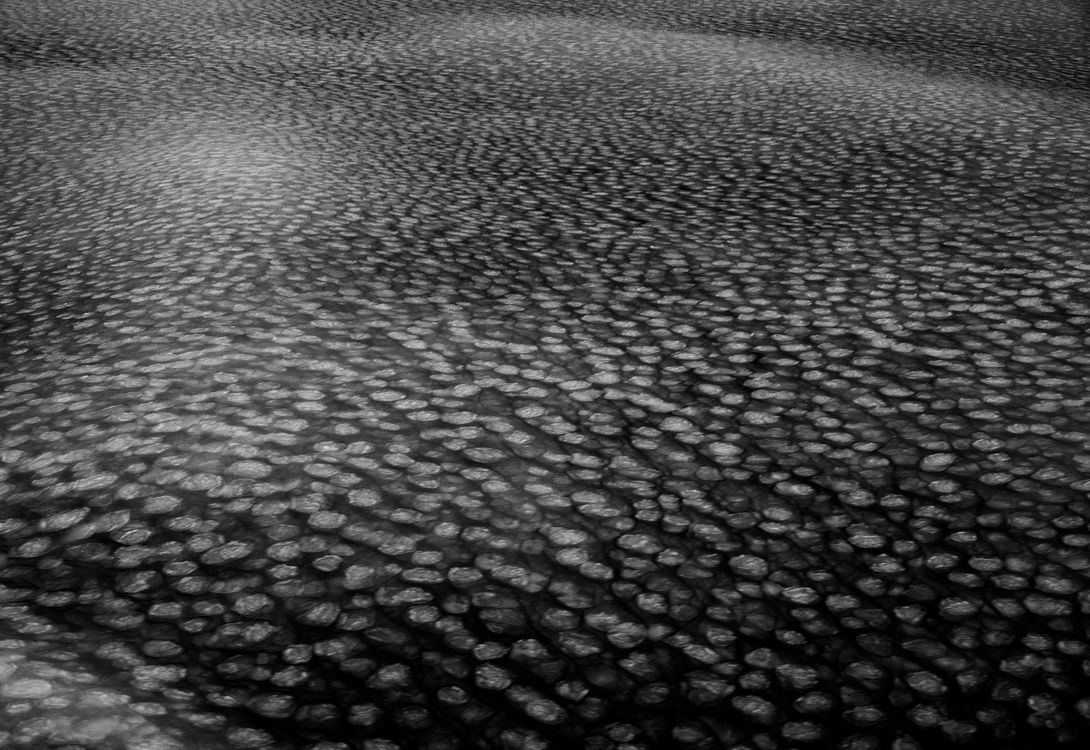 Dotty Ice - Svalbard