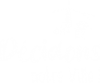 Logo Décidons notre Ville 2025 blanc.png