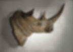 Rhino in rilievo 2004