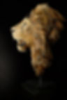 Leone 2011