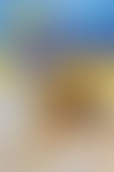 Знайомтеся з новими підручниками з української мови для 8 класу