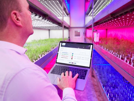 Hydroponic Strawberry Cultivation: Achieving Maximum Efficiency and Flavor with Grow LEDs