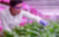 arkens-education-growyourlifejpg_12-10-2023_11-44-55.jpg