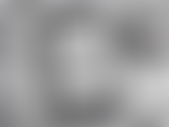 Convenient Mobile Tax Preparation Near Napanee ON Area