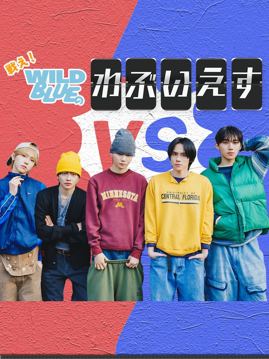 WILDBLUEのわぶいえす