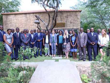Developing investigation and prosecution capacity to save Angola's elephants