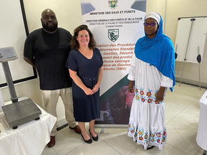 Saving Elephants By Securing Ivory Stocks