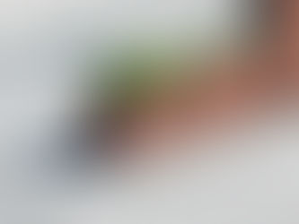 How to Remove Corten Rust Stains: A Comprehensive Guide