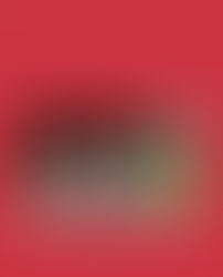 Journal vidéo des Alinews 2025