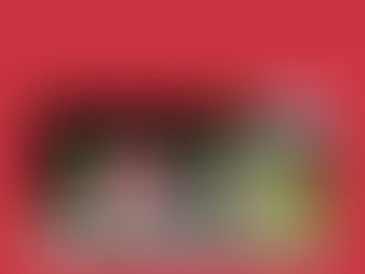 Journal vidéo des Alinews 2025