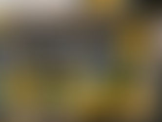 Retour des Jus et du sirop!