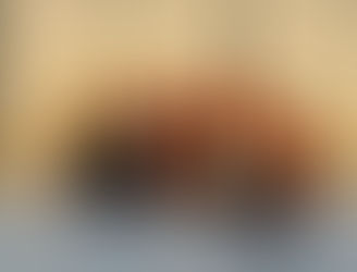 Floorball à la Cerisaie