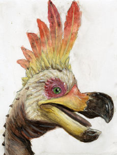 Kulu-Ya-Ku Monster Hunter Study