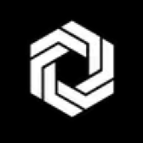 Writer: Fractional Execs South Africa