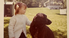 Pets on Parade