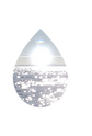 IMG_1415.PNG