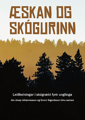 æskanmynd2.PNG