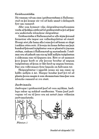 æskan_mynd4.PNG