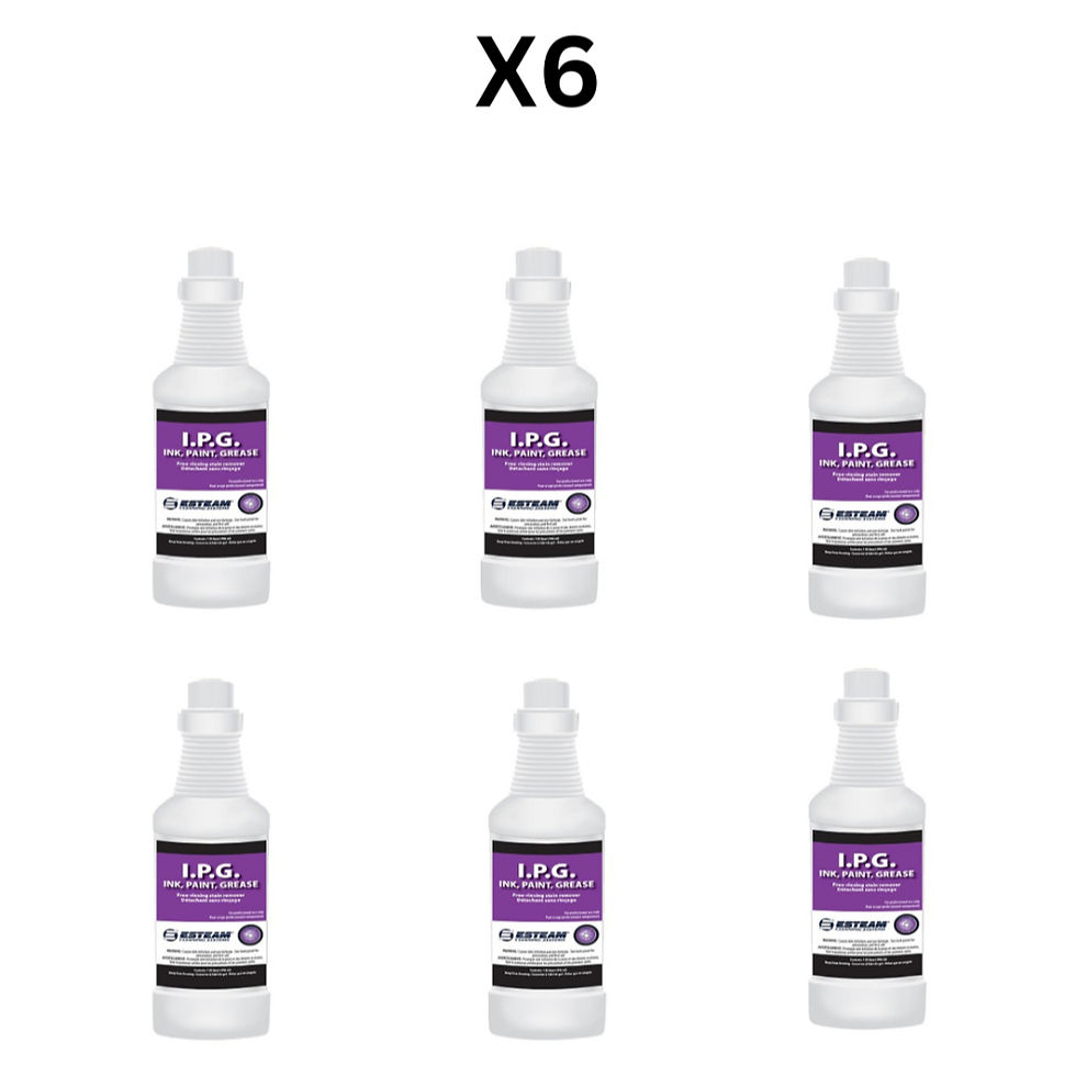 ESTEAM I.P.G. STAIN REMOVER (946 ML) - PACK OF 6