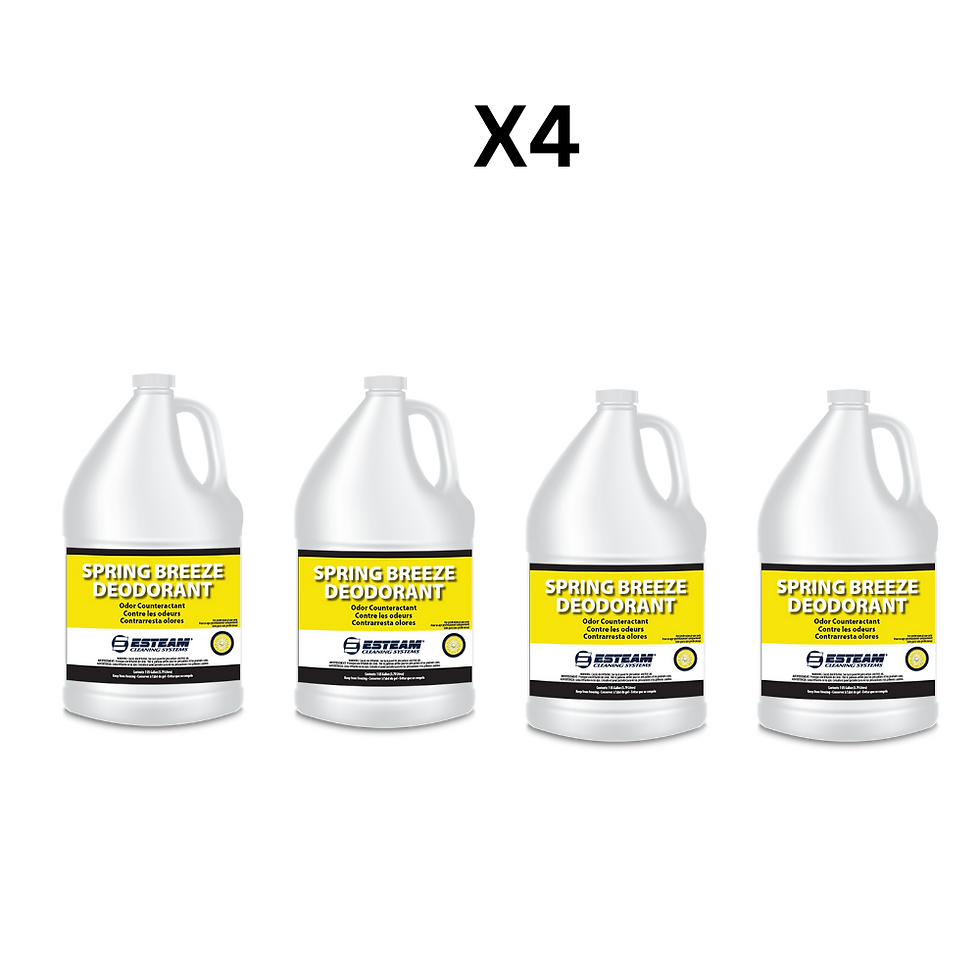 ESTEAM SPRING BREEZE DEODORANT (3.78 LT) - PACK OF 4