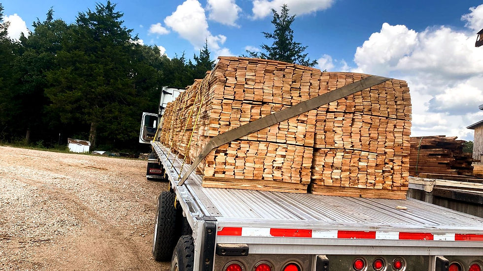 WhatsApp Image 2022-08-19 at 4.04_edited