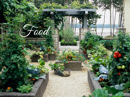 Growing Your Own in Raised Beds