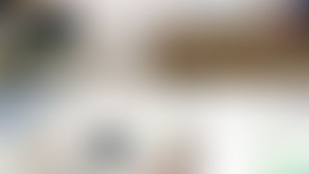 Looks at what a new rug can do!